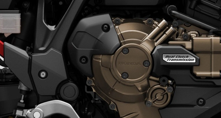 Performance - More Muscular Performance